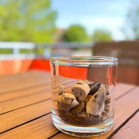 Papillon 14-6 Lejlighed Boltenhagen (Ostseebad)